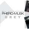 Духи з феромонами для чоловіків PHERO-MUSK Grey, 50 ml