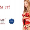 Комплект белья AKITA SET red L/XL - Passion Exclusive: широкий пояс, лиф, стринги