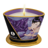 Массажная свеча Shunga Candle, 170 мл (Экзотические фрукты)
