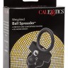 CalExotic Weighted Ball Spreader - эрекционное кольцо 