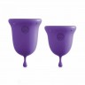 Jimmyjane Menstrual Cups - набор менструальных чаш, 14 мл и 21 мл (пурпурный)