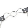 Кляп-кільце з затискачами для сосків DS Fetish Ring gag with nipple clamps S metal