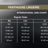 Комплект Penthouse Smoking Gun XL Black, топ-бюстьє, колготки з доступом, імітація пояса для панчіх