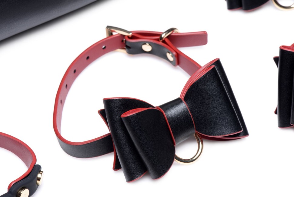 Набір для BDSM Master Series Bow - Luxury BDSM Set With Travel Bag