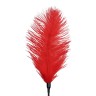 Лоскітка зі страусиним пером  Art of Sex - Feather Tickler, колір Червоний