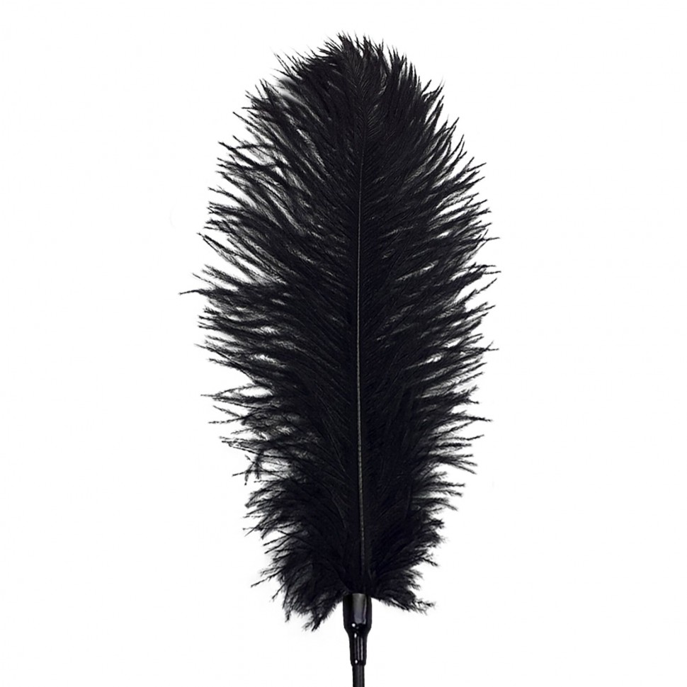 Лоскітка зі страусиним пером Піка Art of Sex - Feather Tickler, колір Чорний